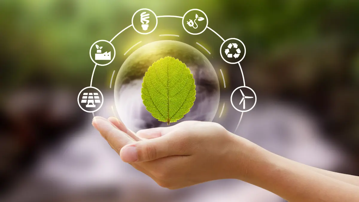 Área de Proteção Ambiental