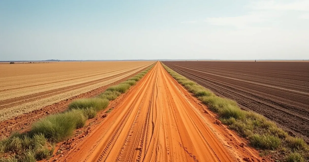 Estrada de terra reta entre dois grandes talhões de lavoura, com horizonte aberto